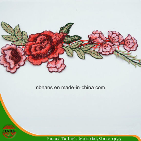 2017 New Design Embroidery Lace (HANS-CH13)