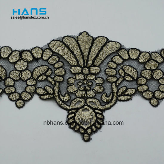 2018 New Design Embroidery Lace on Organza (HC-1818)