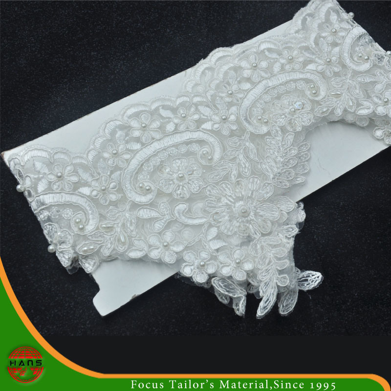 Embroidery Lace on Organza with Beads & Sequins (HD-039)
