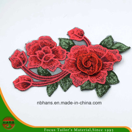 2017 New Design Embroidery Lace (HANS-CH10)