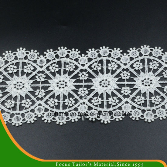 100% Cotton High Quality Embroidery Lace (HC-1725)