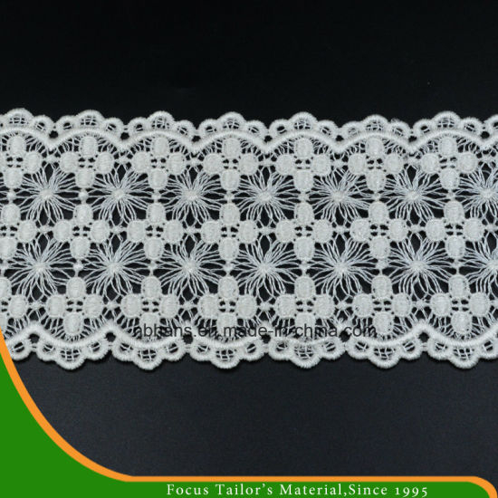 100% Cotton High Quality Embroidery Lace (HC-1731)