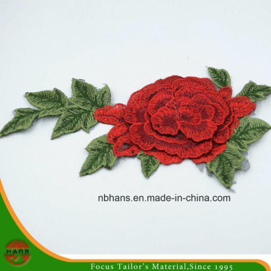 2017 New Design Embroidery Lace (HANS-CH18)