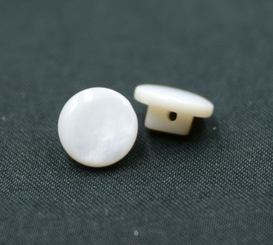 Holes New Design Natural Button (T-006)