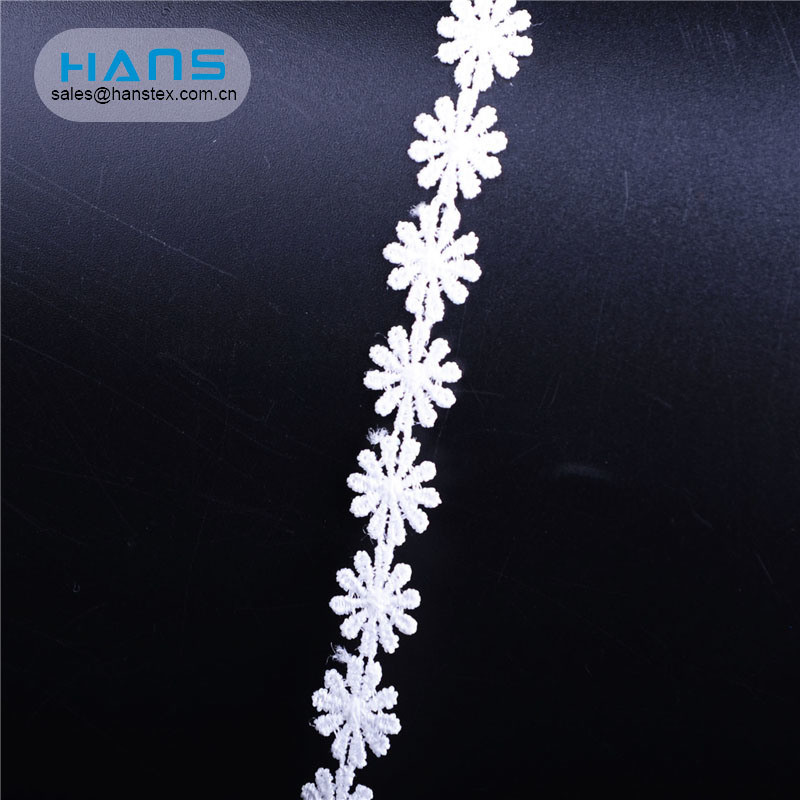 Hans Easy to Use Apparel Indian Embroidery Lace
