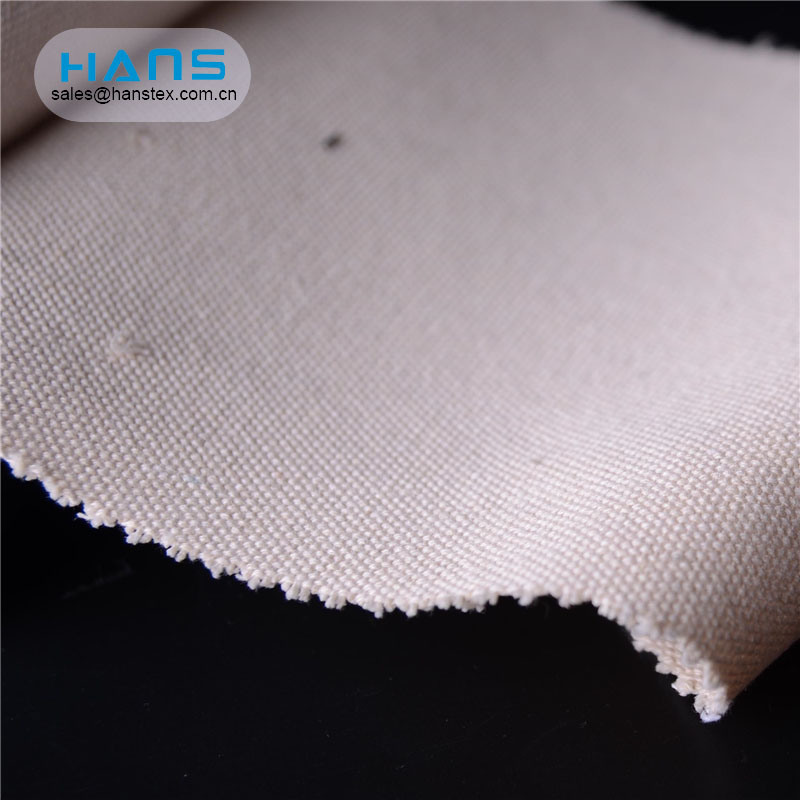 Hans Factory Direct Sale Durable Waterproof 100% Cotton Canvas Fabric