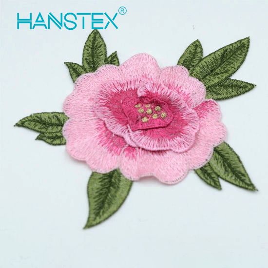 2017 New Design Embroidery Lace (HANS-CH04)