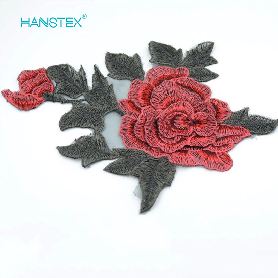 2017 New Design Embroidery Lace (HANS-CH06)