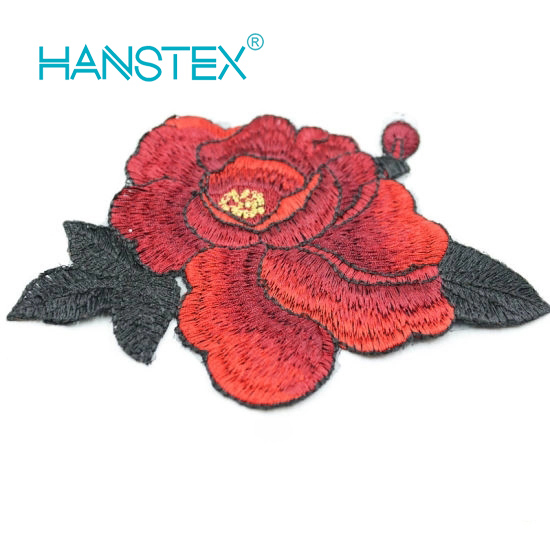 2017 New Design Embroidery Lace (HANS-CH01)
