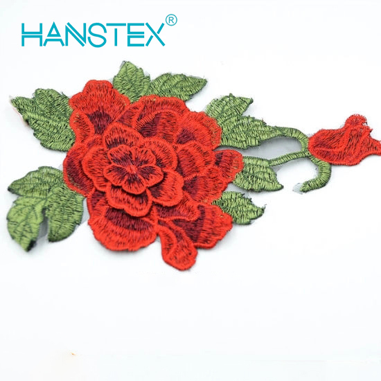2017 New Design Embroidery Lace (HANS-CH05)