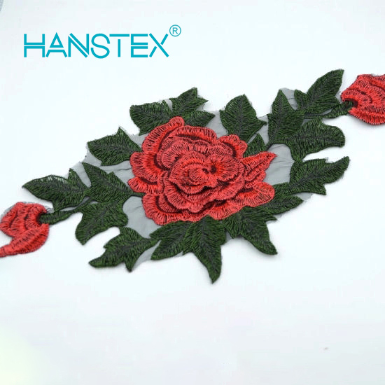 2017 New Design Embroidery Lace (HANS-CH07)