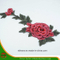 2017 New Design Embroidery Lace (HANS-CH09)