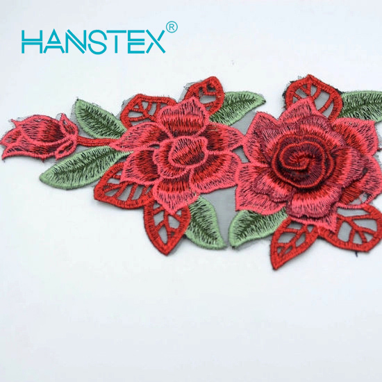 2017 New Design Embroidery Lace (HANS-CH02)