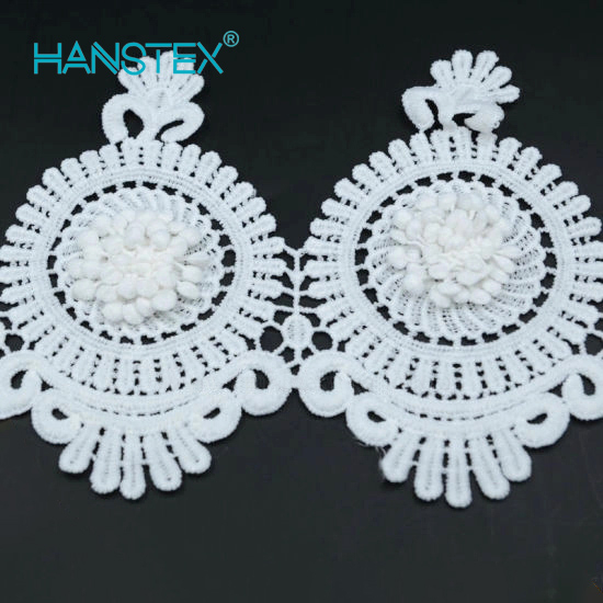 2017new Design Embroidery Lace on Organza (HJKL-1701)