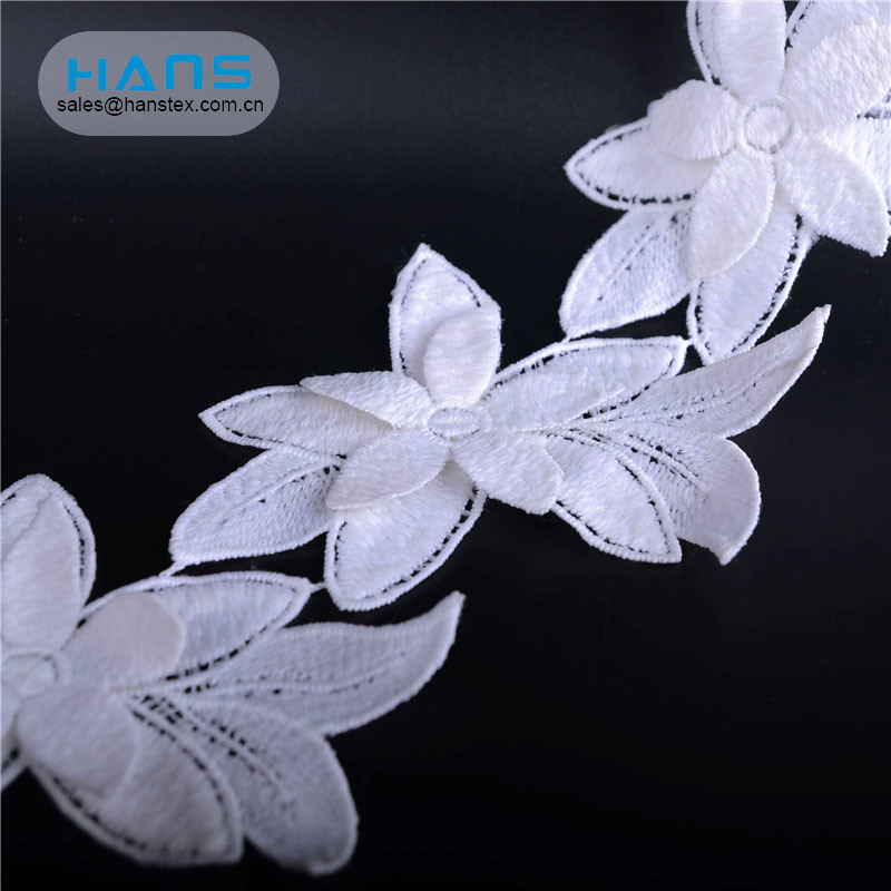 Hans Hot Selling Party Swiss Voile Lace in Switzerland