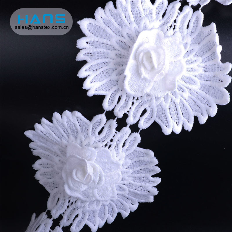 Hans China Supplier Promotional Voile Lace