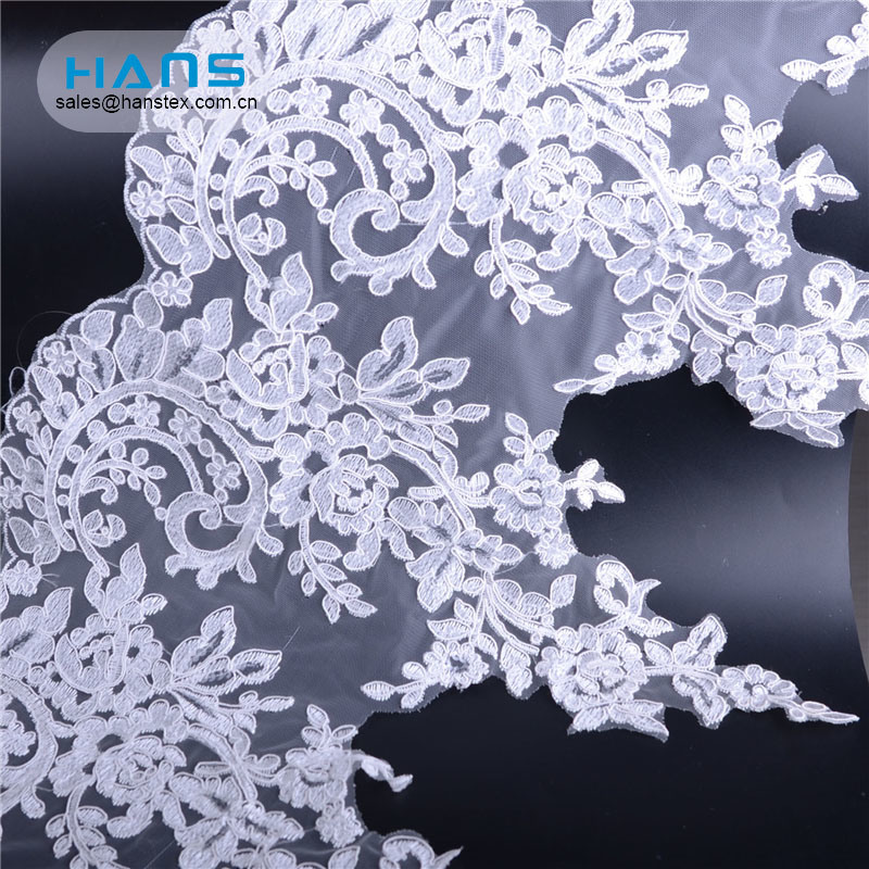 Hans New Products 2019 Eco-Friendly Embroidered Lace Fabric