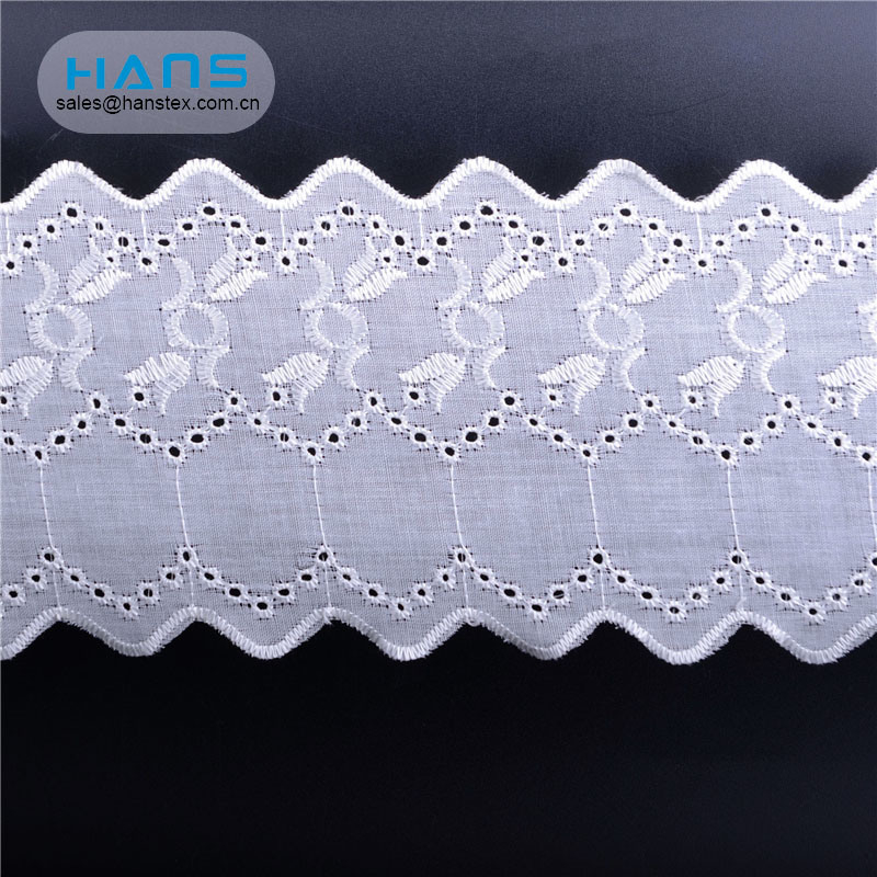 Hans Free Sample Stylish Wholesale African Lace Fabrics